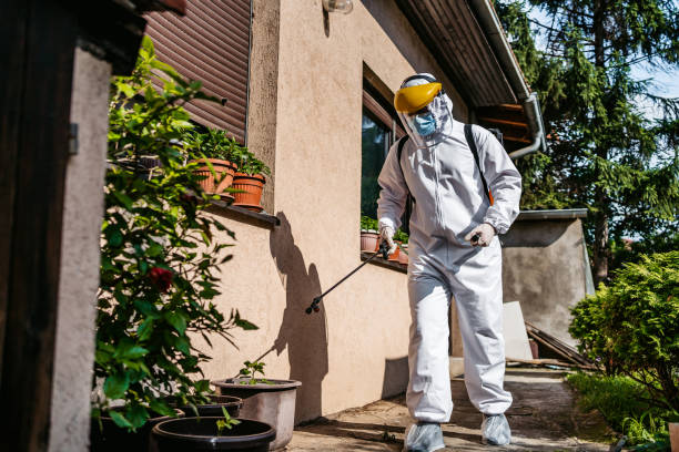 Best Pest Control Near Me  in Fayette, IA