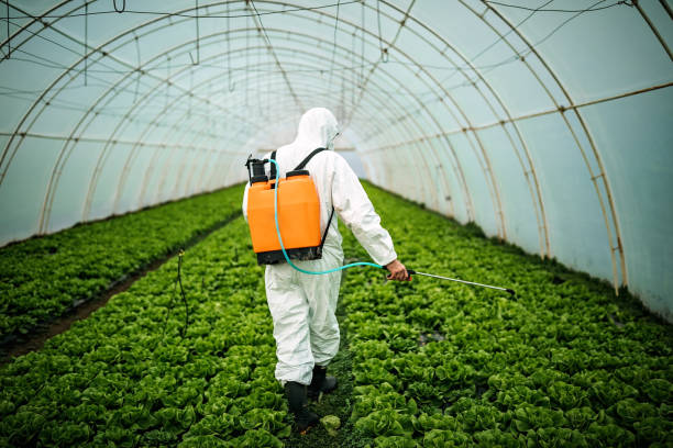 Professional Pest Control in Fayette, IA