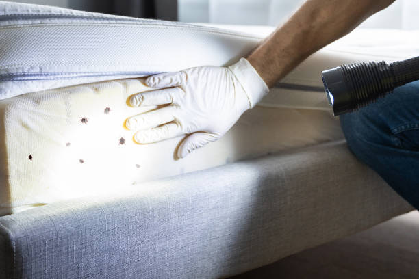 Best Exterminator Services  in Fayette, IA
