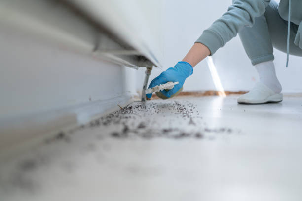 Pest Control for Restaurants in Fayette, IA