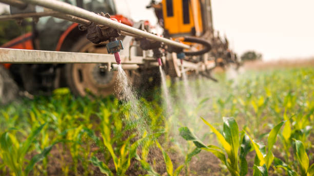 Pest Prevention Services in Fayette, IA